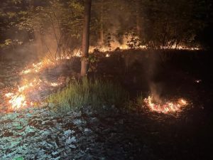 Einsatzinfo 29.04.2026 ++ 05:14 Uhr
